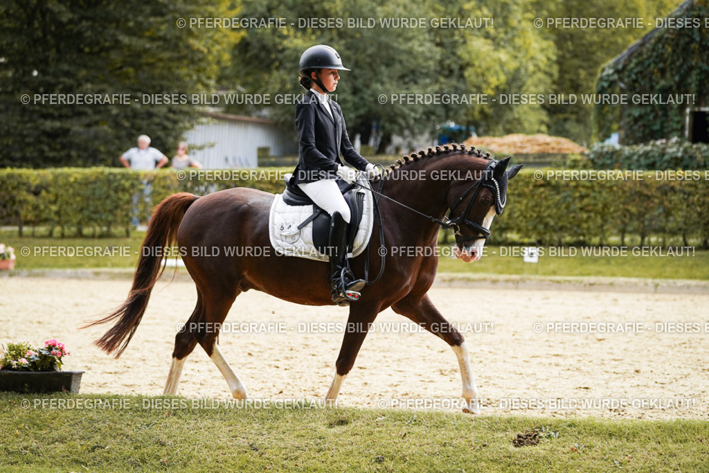 DSC00959 | Pferdegrafie