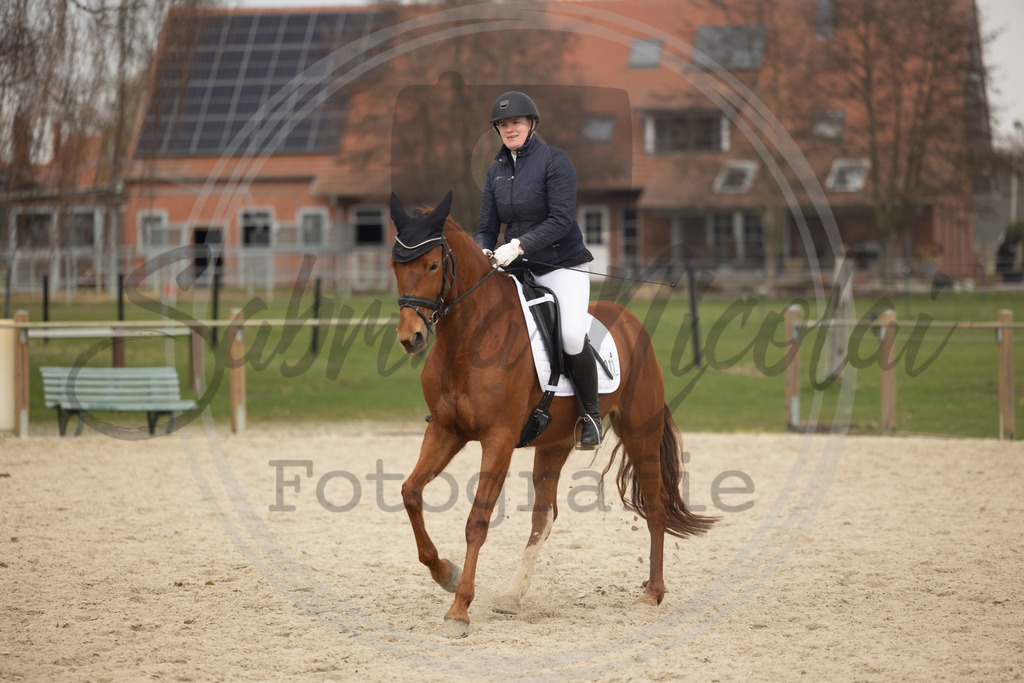 994A9341 | sabrinanicolaifotografie - Realisiert mit Pictrs.com