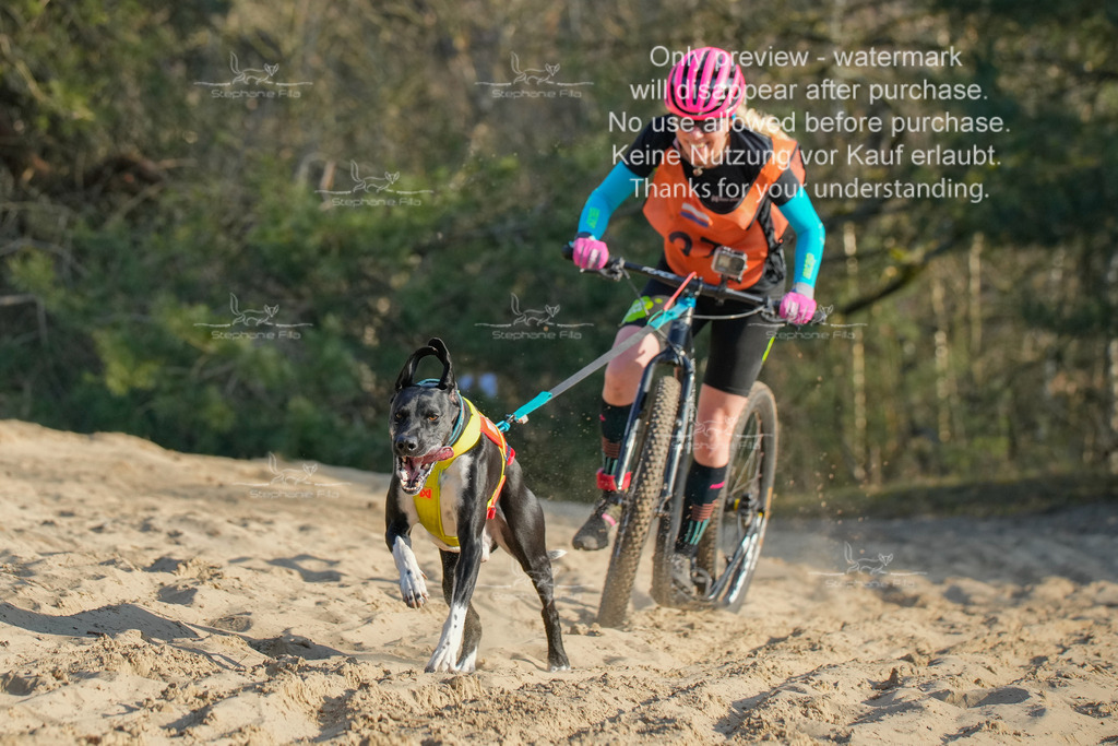 So_Scooter-131 | stephaniefillaphotographie - Realisiert mit Pictrs.com