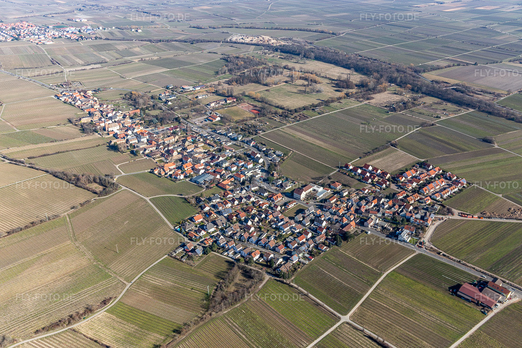 Luftbild: Weinbergen in Forst an der Weinstraße im Bundesland Rheinland-Pfalz in Deutschland. Foto: IMG_112796.jpg vom 27.02.2019 durch Werner Riehm/FLY-FOTO.de