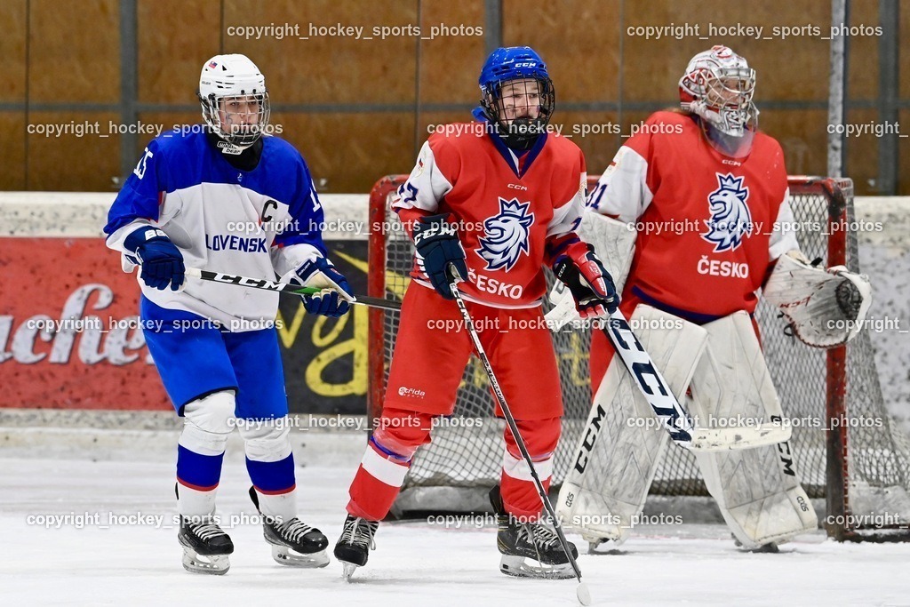 BST_5662 | hockey sports photos, Pressefotos, Sportfotos, hockey247, win 2day icehockeyleague, Handball Austria, Floorball Austria, ÖVV, Kärntner Eishockeyverband, KEHV, KFV, Kärntner Fussballverband, Österreichischer Volleyballverband, Alps Hockey League, ÖFB, 