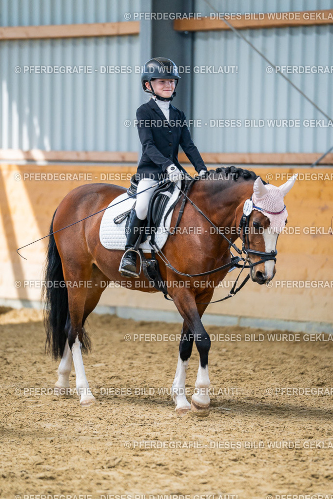 DSC01144 | Pferdegrafie