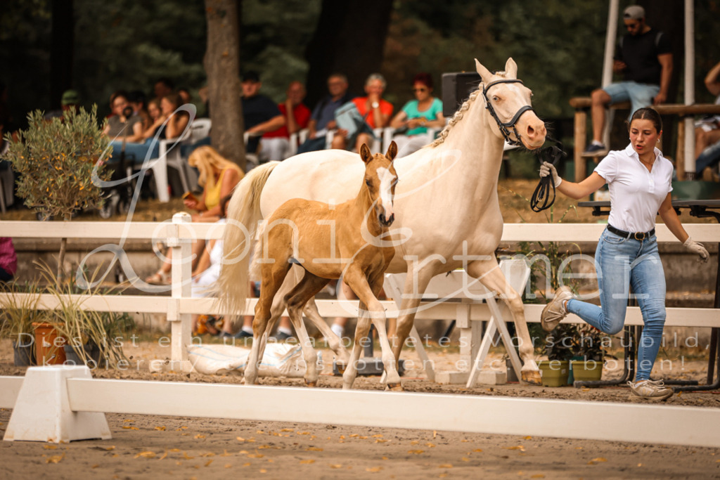 SaPA00242 | Leoni Ertmer Photography - Realisiert mit Pictrs.com