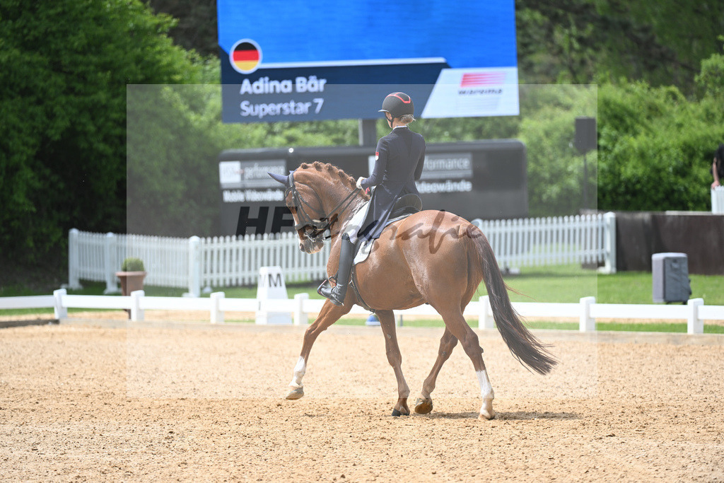 Baer_Superstar_11233753 | hf-fotografie - Realisiert mit Pictrs.com