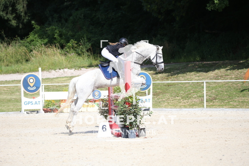 DL2Q1236 | Willkommen bei Brunnmayr - Design & Fotografie – Ihrem Spezialisten für Reitturniere und Pferdeveranstaltungen in Oberösterreich, Salzburg und Bayern! Seit über 17 Jahren sind wir leidenschaftlich dabei.