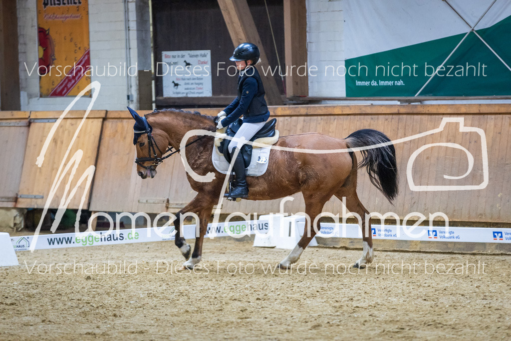 Sth-WBO25-EDr-090 | MomenTaufnahmen Pferdesportfotos