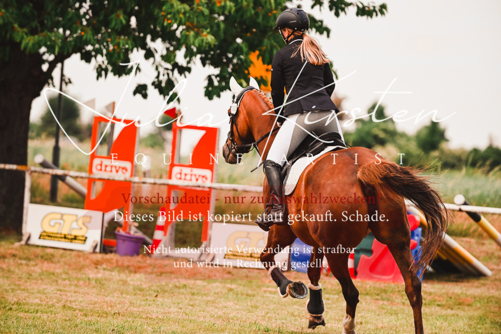 DSC_6862 | Pferde- und Turnierfotografie in Westsachsen. Pferdeportraits, Auftragszeichnungen und intuitive Kunst.