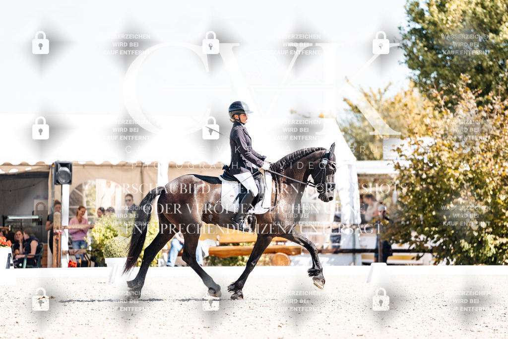 CK904107 | Turnierfotografie Pferdefotografie Trier Rheinland-Pfalz Pferdesport Reitsport Tierfotografie Sportfotografie Pferdevideo Pferdevideografie Equestrianvideography equestrianphotography  - Realisiert mit Pictrs.com