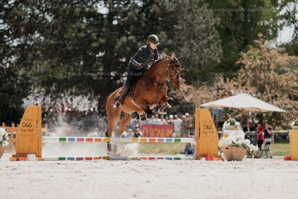 WE_SP_Stoib_340_PI2025_1972 | Pferd International München 2025