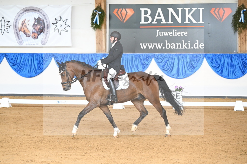 Greiffenberg_Quantiamo_10230738 | hf-fotografie - Realizzato con Pictrs.com