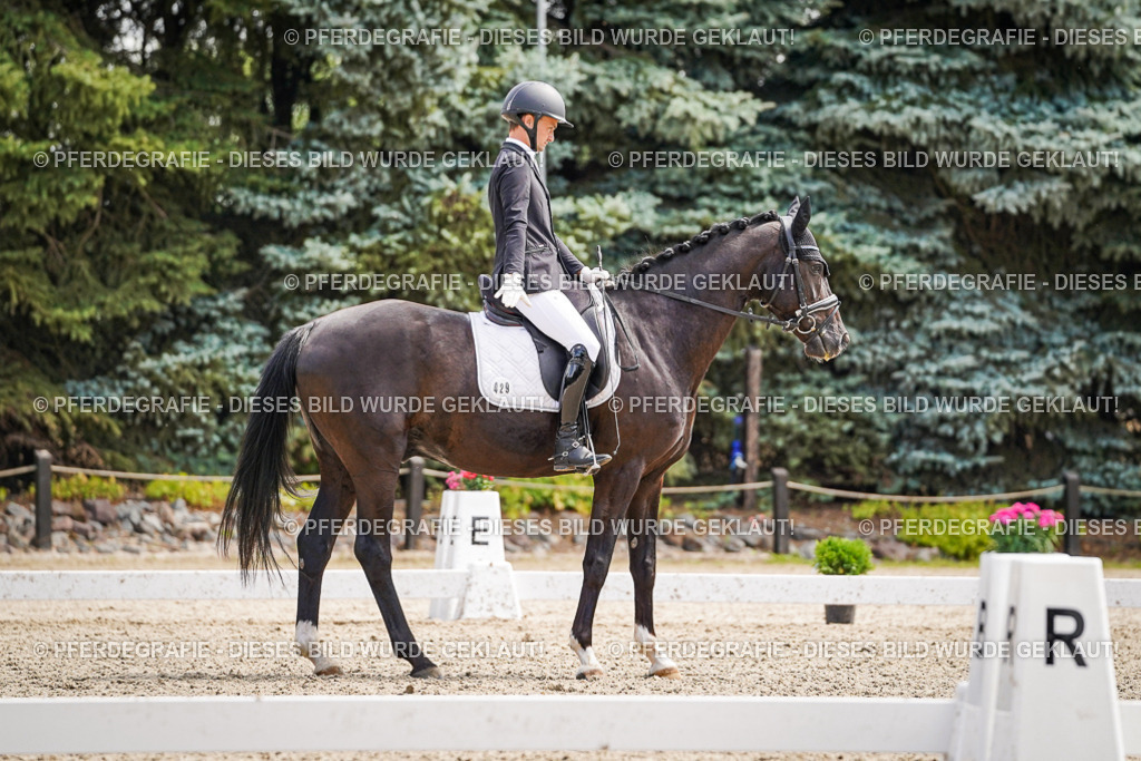 DSC00105 | Pferdegrafie