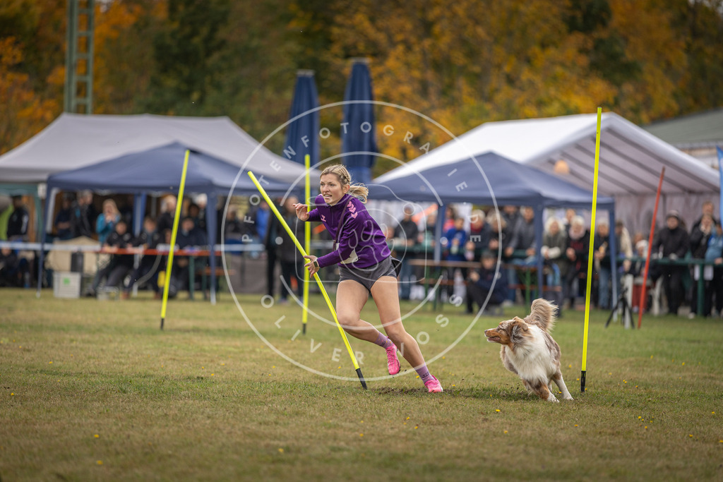 Pfotenfotografie_DV3A7651 | Hundefotografie, Tierfotograf, Pfotenfotografie, Fotoshooting Hund, Hunde Portrait, Hundesport, Hundeportraits, Heideshooting, Hunde, Sportfotograf, Hundefotograf, Turnierhundsport, THS,  - Realisiert mit Pictrs.com