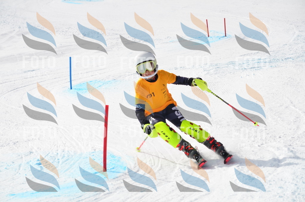 C8061 | holidayphoto