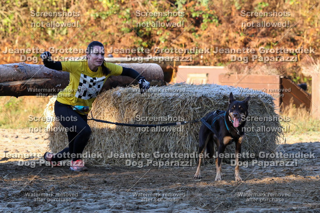Dog Paparazzi - Strongdog 10-25-656 | Dog Paparazzi Jeanette Grottendiek Fotografie & Videografie - Realisiert mit Pictrs.com