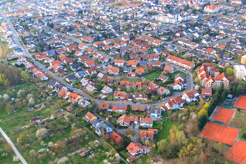 Luftbild: Orchideenstraße und Blumenring in Jockgrim im Bundesland Rheinland-Pfalz in Deutschland. – Foto: IMG_63428.jpg vom 28.03.2014 durch Werner Riehm/FLY-FOTO.de – Auflösung des Originals: 4752 x 3168 px