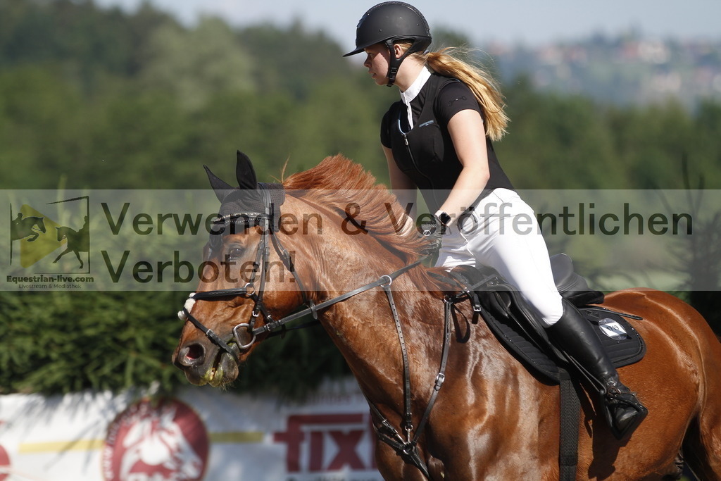 _MG_2478 | equestrian-live-com