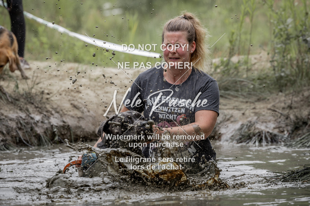 nelerasche_so1445-1515_409 | nelerasche
