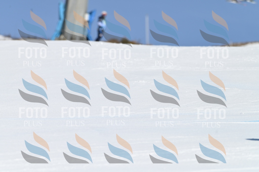 BGV_7760 | holidayphoto