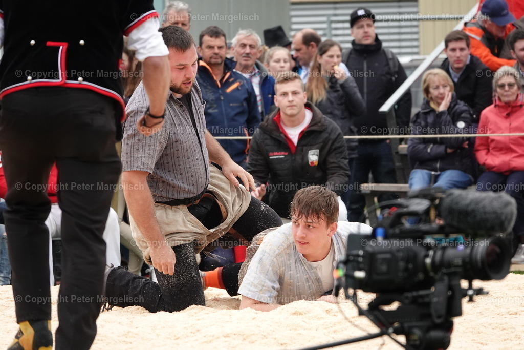 DSC03425 | Schwingen - Realisiert mit Pictrs.com