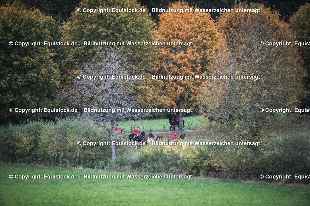 20241013_Jagd-Marbach_0262 | Foto: Thomas Hartig