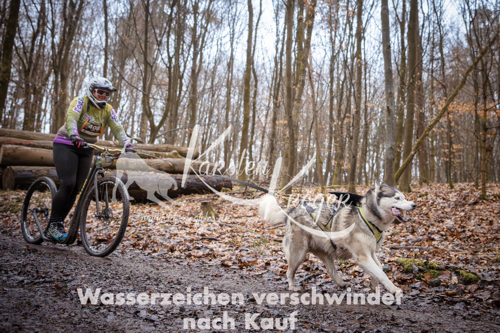 0851_ZZ94854 | kk-dogfotos