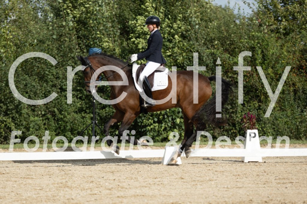 IMG_7039 | Creatify Fotografie