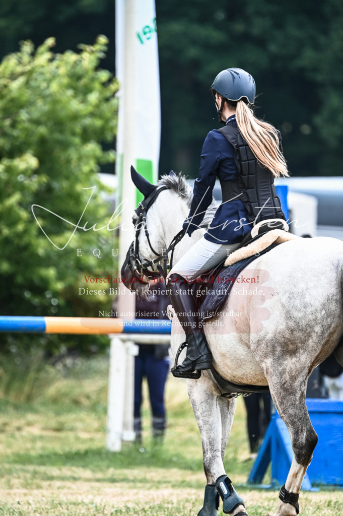 DSC_8163 | Pferde- und Turnierfotografie in Westsachsen. Pferdeportraits, Auftragszeichnungen und intuitive Kunst.