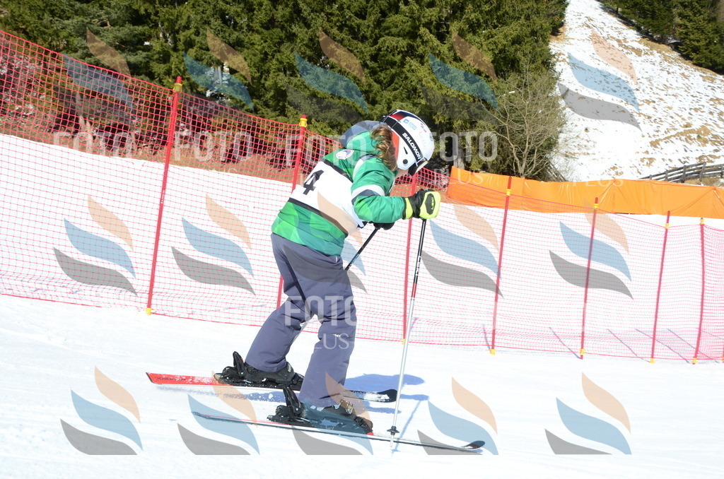 C5524 | holidayphoto