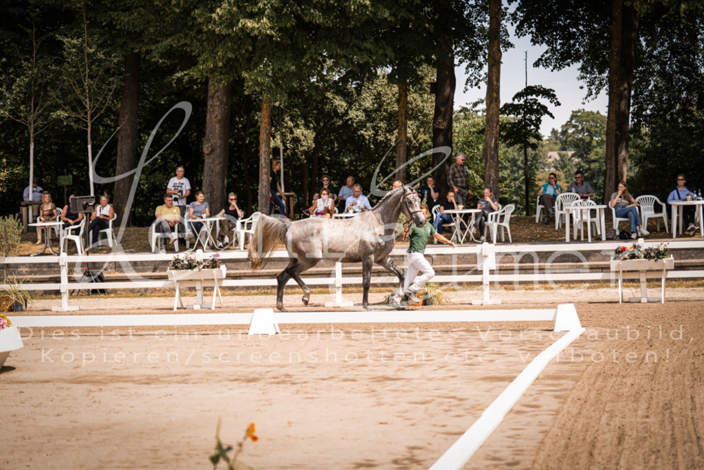 1.Fr00007 | Leoni Ertmer Photography - Realisiert mit Pictrs.com