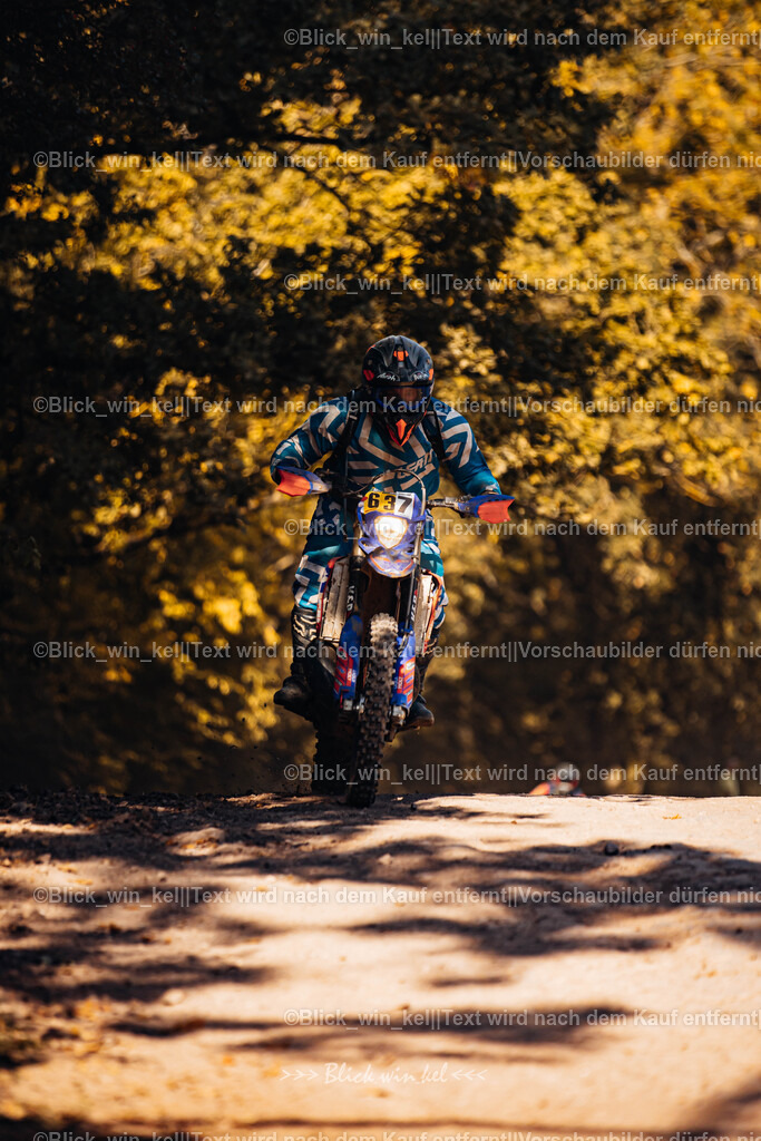 E68A7761 | blick_win_kel