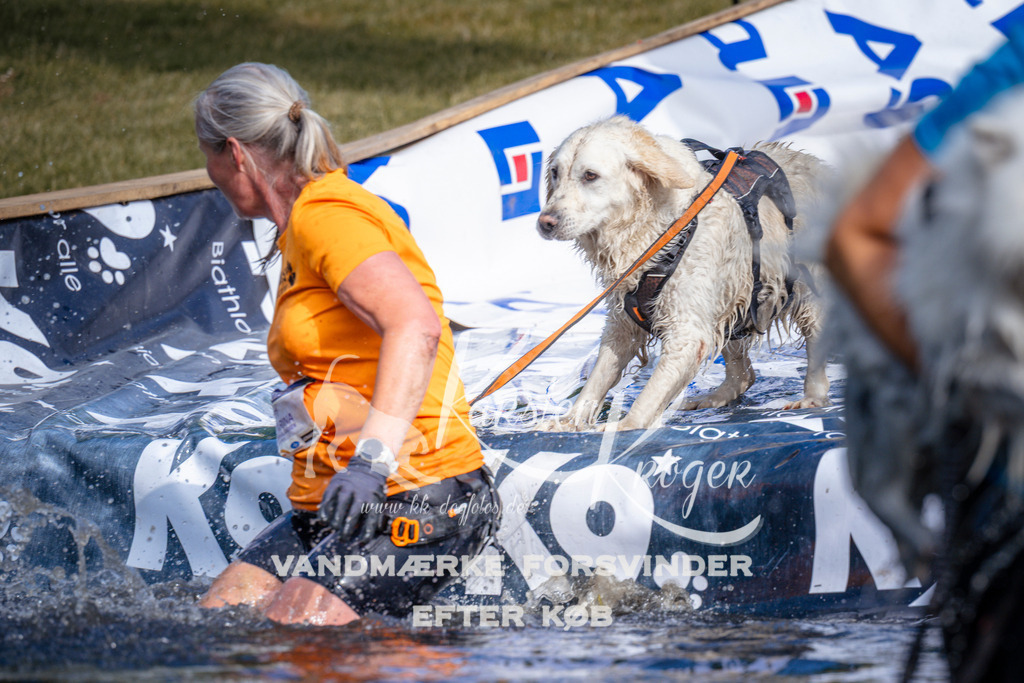 _ZZ989280811 | kk-dogfotos