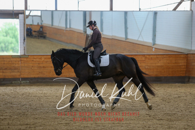 IMG_3740 | Turniersportfotografie; Pferdefotografie; Dressurfotografie