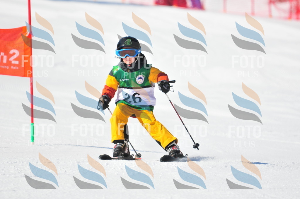 C2586 | holidayphoto