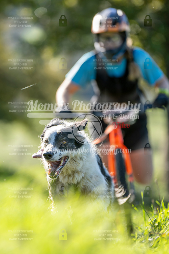 MompixPhotography_20TSB_E3_DS1-94 | PayLife
