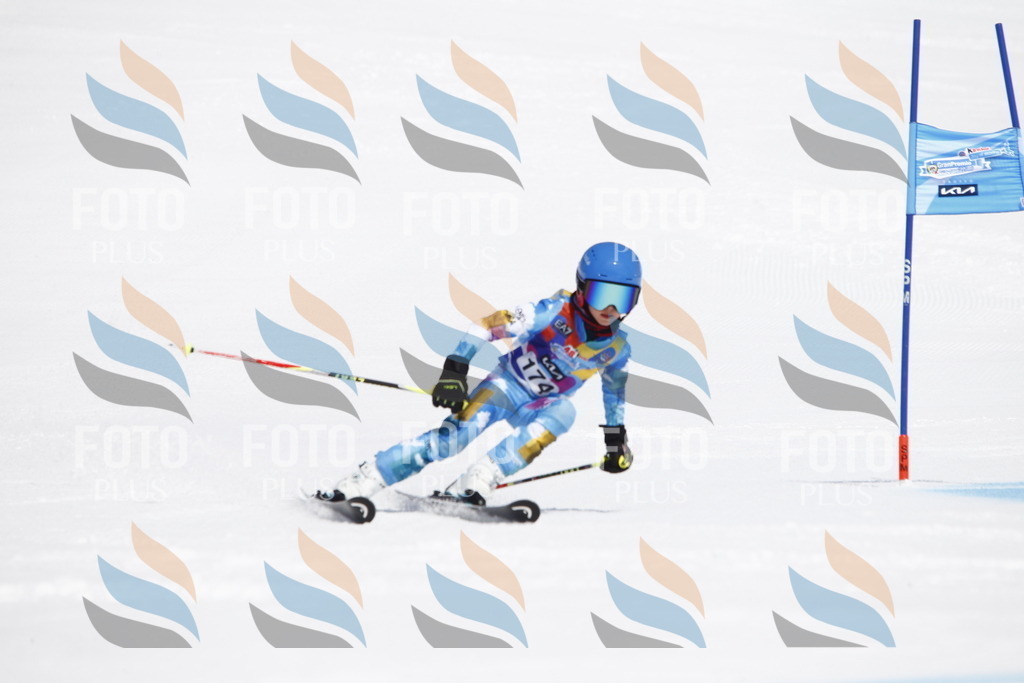 _U3G4585 | holidayphoto