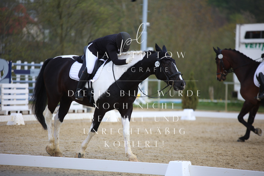 IMGT6535 | pl-fotografie