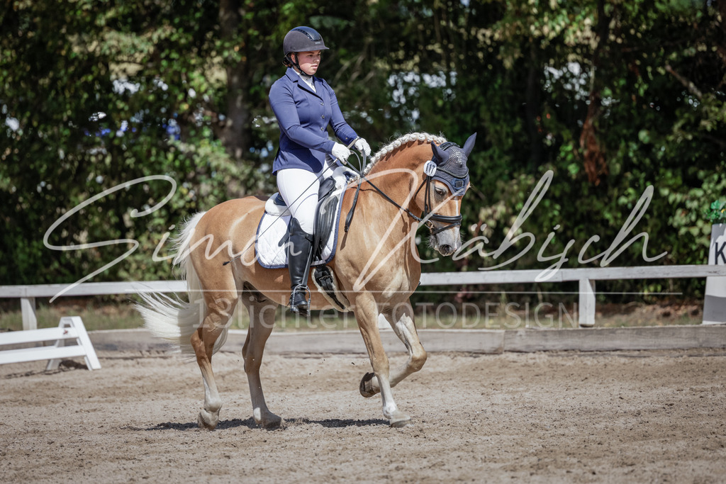 20250906-_3LI5290 | Tierfotografie Pferde, Hunde, Katzen, Haustiere.
Turnierfotografie Reitturniere, Reiten, Springreiten, Dressur in Hanau, dem Main-Kinzig-Kreis und dem Rhein-Main- Gebiet um Frankfurt