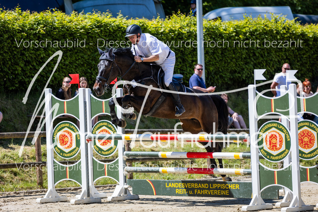Donop24-Stil-L-028 | MomenTaufnahmen Pferdesportfotos