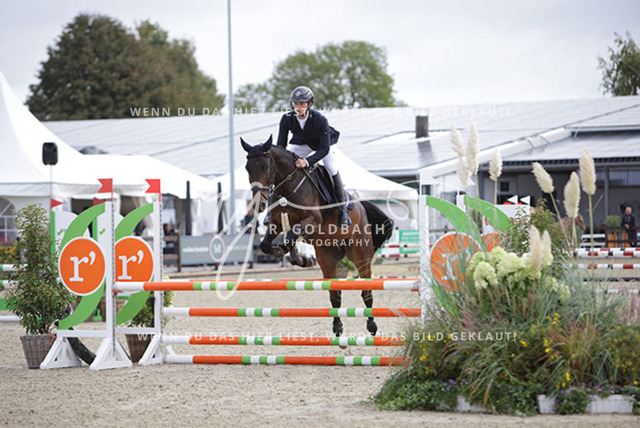 1J2A1152Mathies Rüder_ Kasa Kasa_ Kn574_ Havekost | Foto- und Videografie für alles rund ums Pferd. Hochwertige Bilder und Videos vom Spring- und Dressurreiten, Voltigieren & mehr. Jetzt aktuelle Veranstaltungen und Preise im Shop ansehen. - Realisiert mit Pictrs.com