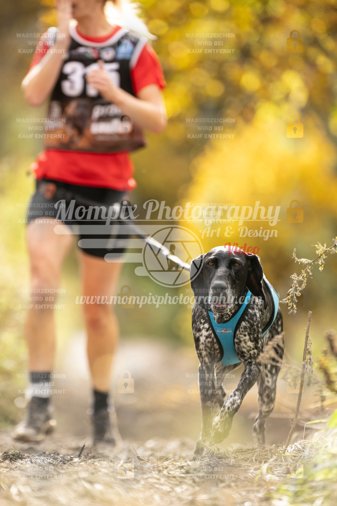 MompixPhotography_ICF_WC_2024_SA_Run_-207 | PayLife