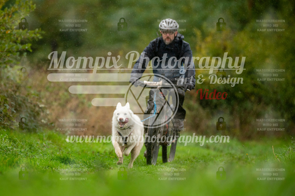 TSB_2023_E6_Bike-51 | PayLife