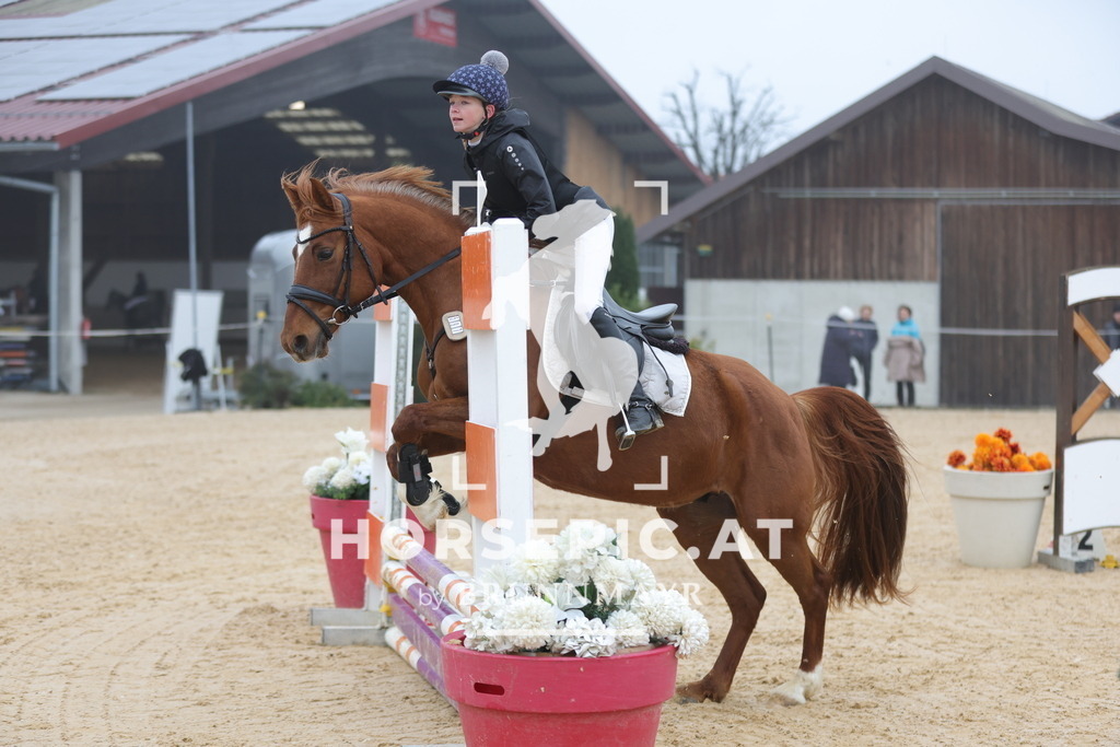 0P6A8228 | Willkommen bei Brunnmayr - Design & Fotografie – Ihrem Spezialisten für Reitturniere und Pferdeveranstaltungen in Oberösterreich, Salzburg und Bayern! Seit über 17 Jahren sind wir leidenschaftlich dabei.