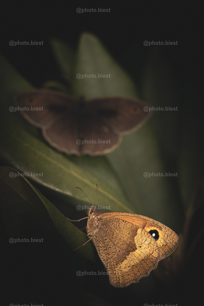 IMGC8242 | photobiest - Realisiert mit Pictrs.com