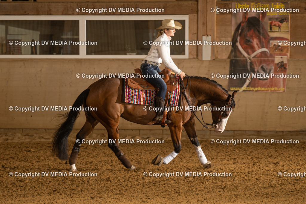 LAU00298 | dv-media-shop - Realisiert mit Pictrs.com