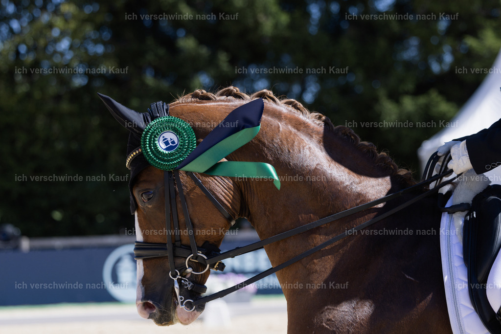 FHC2026_P12_Siegerehrung_19369 | working equitationturnier fotograf videograf stoibphotography marixx film working equitation deutschland reitsport turnierfotografie eventfotografie equestrian events