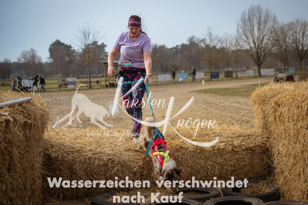 1107_ZZ92031 | kk-dogfotos