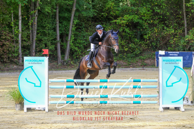 DKP42501 | Turniersportfotografie; Pferdefotografie; Dressurfotografie