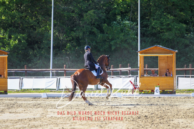 DKP42709 | Turniersportfotografie; Pferdefotografie; Dressurfotografie
