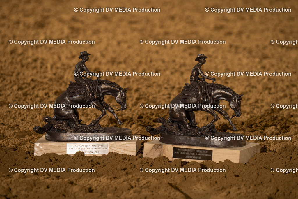 LAU01070 | dv-media-shop - Realisiert mit Pictrs.com