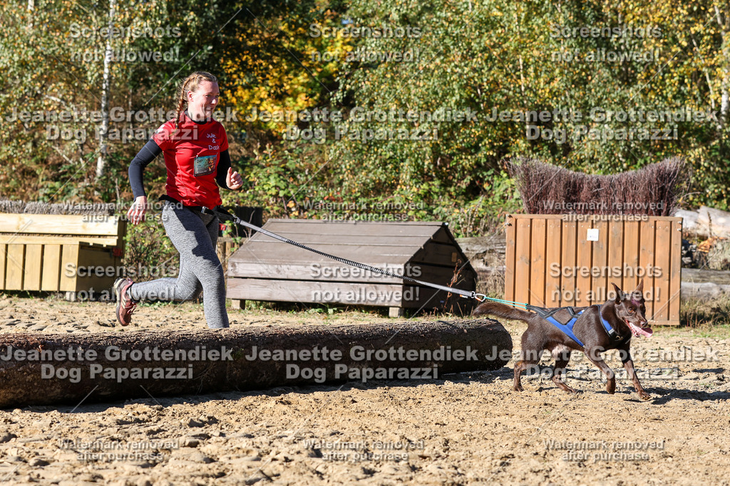 Dog Paparazzi - Strongdog 10-25-2505 | Dog Paparazzi Jeanette Grottendiek Fotografie & Videografie - Realisiert mit Pictrs.com